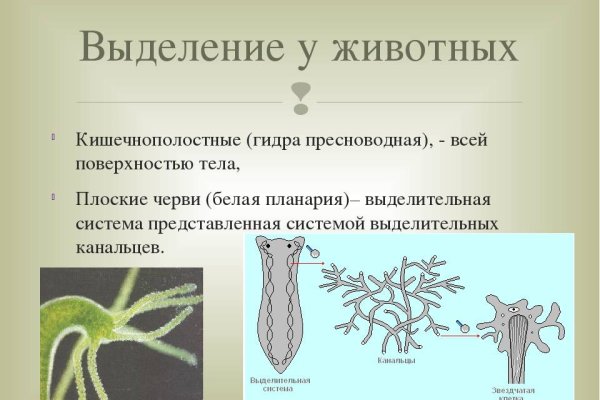 Как зайти на кракен в торе